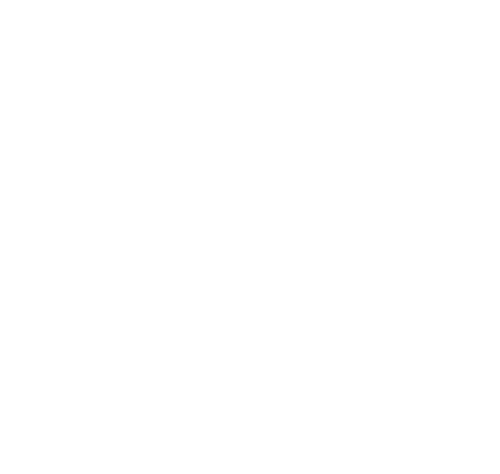 NOCTARIS Geometric Schnauzer Signature